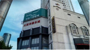 某钢网架专项质量检测